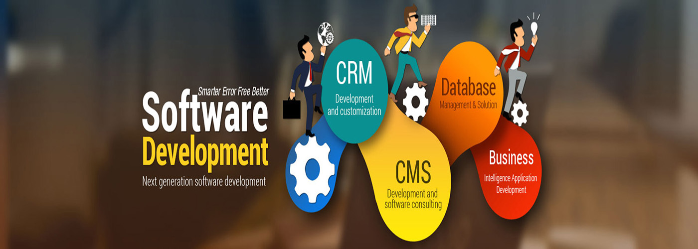 mayainfotech-Software Development